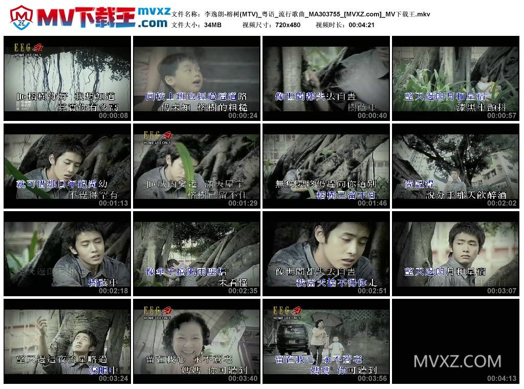 李逸朗-榕树(MTV)_粤语_流行歌曲_MA303755